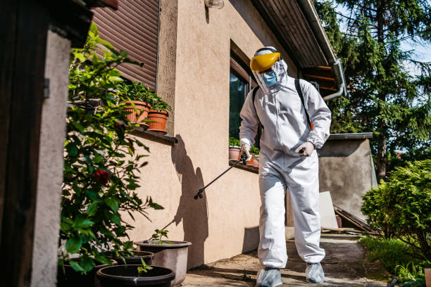 Best Termite Control Services  in Harpersville, AL