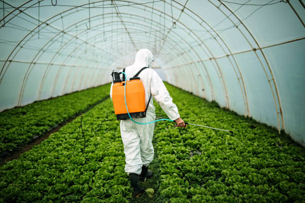 Best Mosquito Control Services  in Harpersville, AL