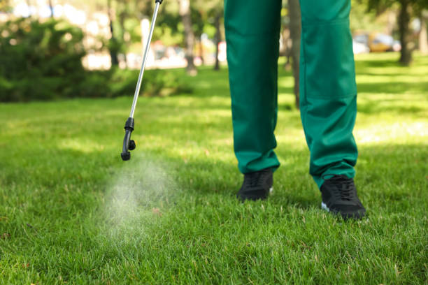 Best Ant Control Services  in Harpersville, AL